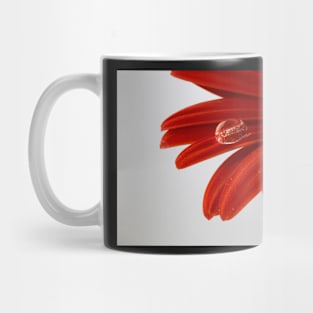 Red daisy Mug